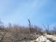 Христове з panoramio.com