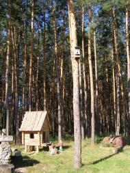 Цвітоха з panoramio.com