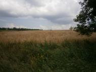 Булацелівка з panoramio.com