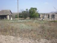 Липове з panoramio.com