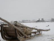 Журавка з panoramio.com