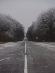 Краснопіль з panoramio.com