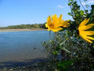 Дротинці з panoramio.com