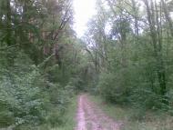 Воловики з panoramio.com