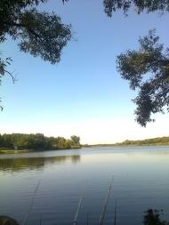 Зелене - Останні фото