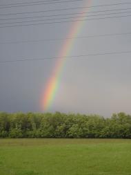 Верлок - Останні фото