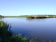 Новосілка з panoramio.com