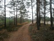 Жиричі з panoramio.com