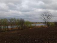 Цибулівка з panoramio.com