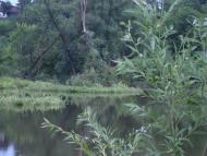 Мала Мочулка з panoramio.com