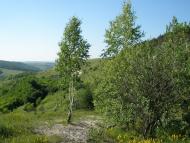 Гамарня з panoramio.com