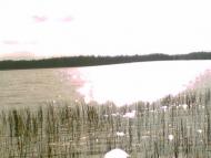 Віл з panoramio.com