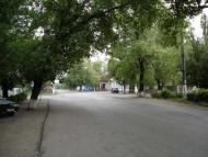 Цукурине - Останні фото