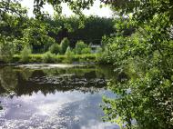 Микуличі з panoramio.com