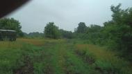 Зелене з panoramio.com