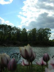 Куковицьке з panoramio.com