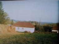 Борщівка з panoramio.com