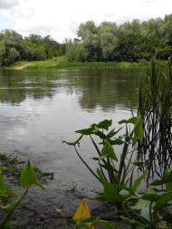 Пархоменко з panoramio.com