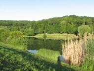 Мотрунки - Последние фото