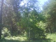 Радянське з panoramio.com