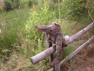 Чабан з panoramio.com