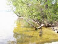 Радянське з panoramio.com