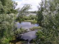 Проточі з panoramio.com