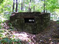 Бистровиця - Останні фото