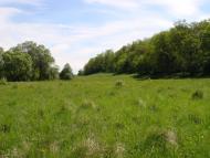 Стариця з panoramio.com