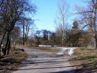 Вороне з panoramio.com