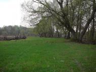 Люджа - Останні фото