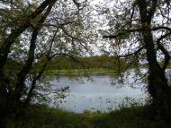 Козероги з panoramio.com