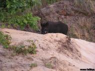 Підріччя - Останні фото