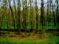 Мурзинці з panoramio.com