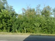 Терпіння з panoramio.com