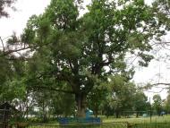 Підріччя з panoramio.com