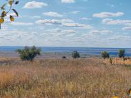 Ижевка - Последние фото