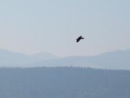 Баня-Березів з panoramio.com