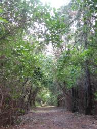 Травневе з panoramio.com