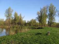 Требухів з panoramio.com