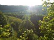 Гамарня з panoramio.com