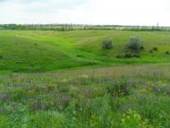 Пищевик - Останні фото