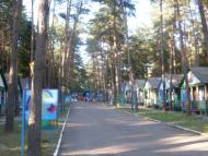 Маньківка з panoramio.com