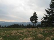 Голошина з panoramio.com