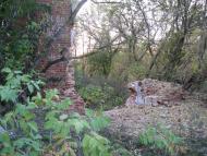 Травневе з panoramio.com