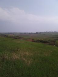 Мармуліївка з panoramio.com