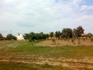 Коробчино з panoramio.com