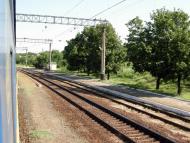 Плавні з panoramio.com