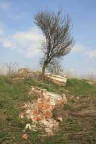 Жорнище з panoramio.com