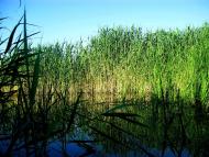 Шелехове з panoramio.com